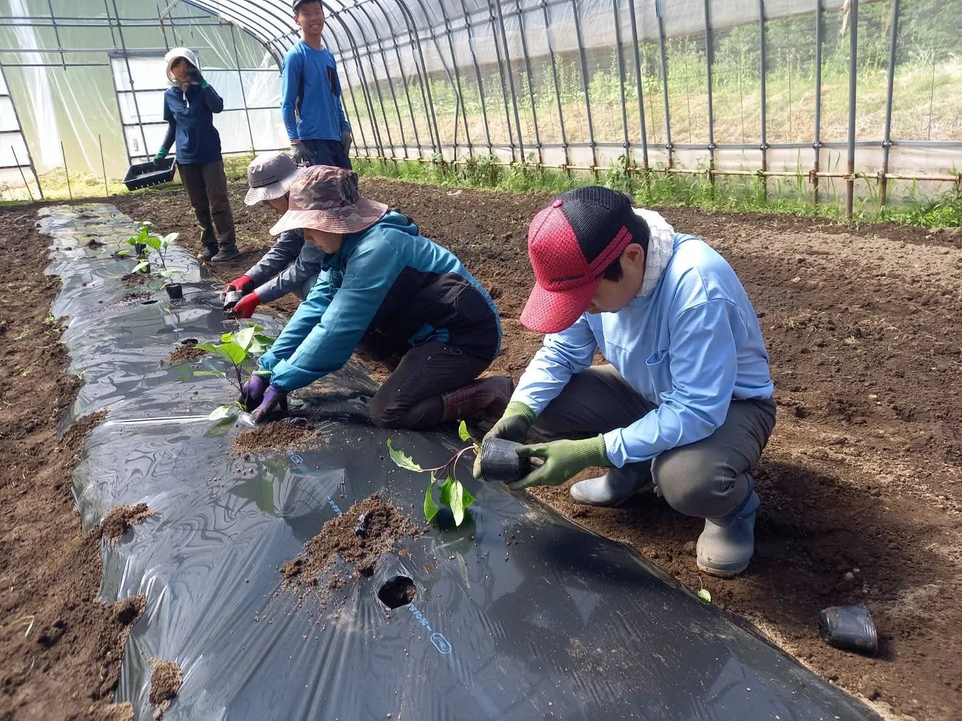 Farm work